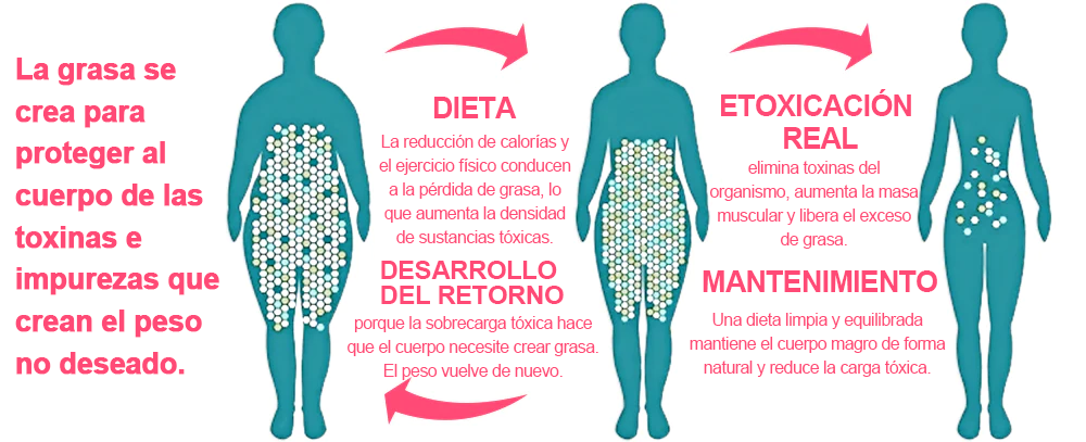 【¡Solo quedan 8!】🛒 ¡Aprovecha un 30% de descuento adicional ahora! 🎉 Probado por expertos en pérdida de peso: alternar entre 4 y 6 pares te ayudará a alcanzar tu figura ideal. 🎊 ¡No te lo pierdas — esta oferta no volverá hasta el próximo año!