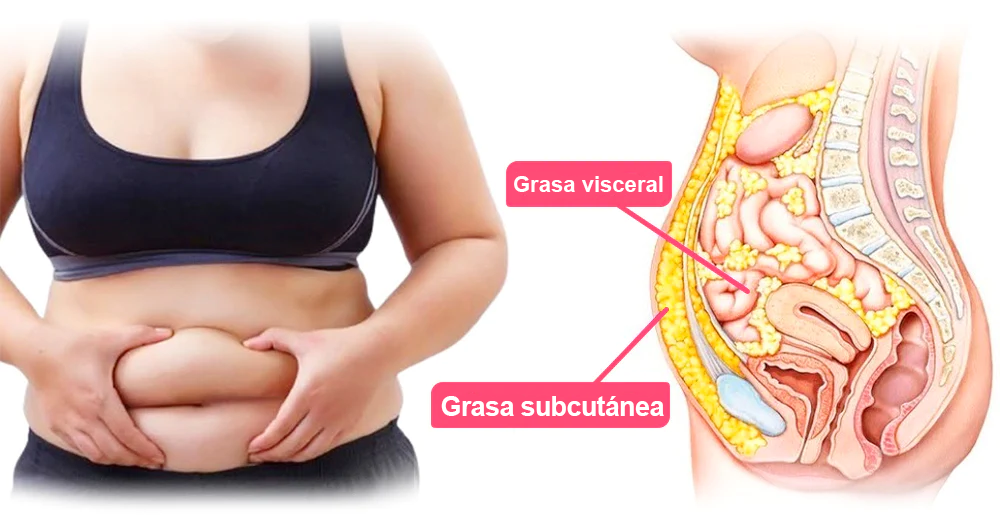 【¡Solo quedan 8!】🛒 ¡Aprovecha un 30% de descuento adicional ahora! 🎉 Probado por expertos en pérdida de peso: alternar entre 4 y 6 pares te ayudará a alcanzar tu figura ideal. 🎊 ¡No te lo pierdas — esta oferta no volverá hasta el próximo año!